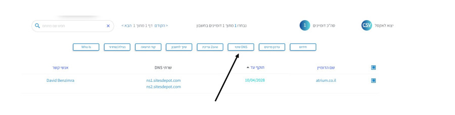 הפניית רשומות בספקי דומיינים נפוצים​
