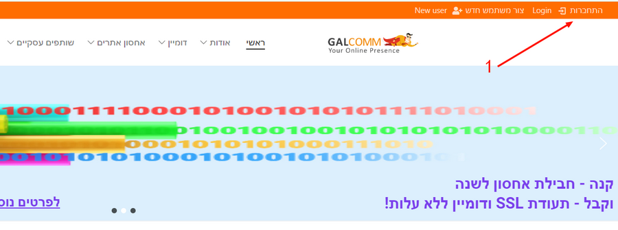 הפניית רשומות בספקי דומיינים נפוצים​